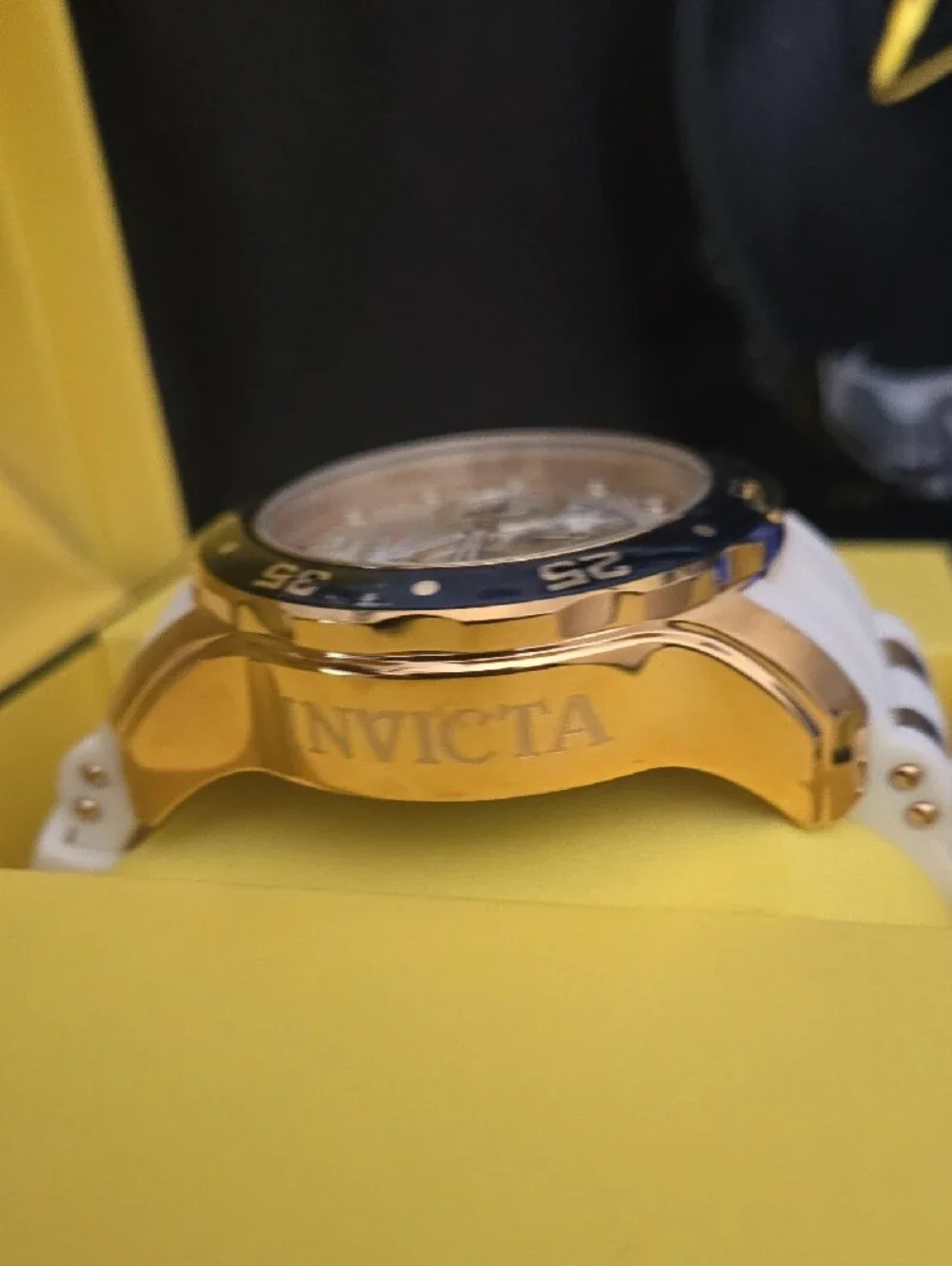 Invicta Pro Diver Scuba